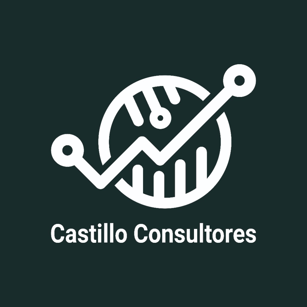 Castillo Consultores Logo